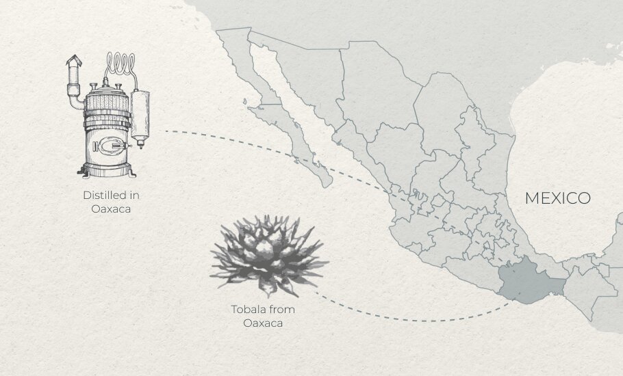 Tobala from Oaxaca Distilled in Oaxaca